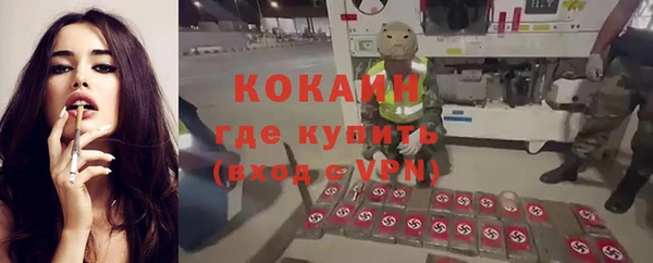 PSILOCYBIN Дмитриев