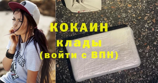 PSILOCYBIN Дмитриев