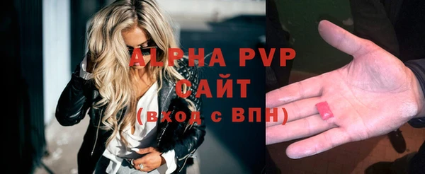 PSILOCYBIN Дмитриев