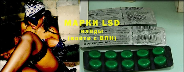 PSILOCYBIN Дмитриев