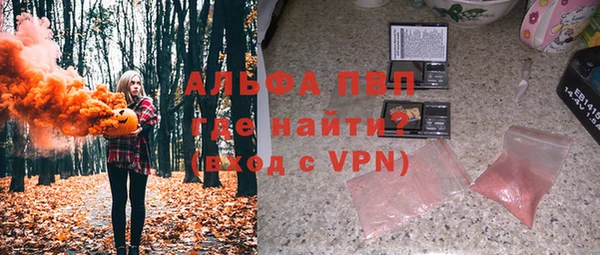 PSILOCYBIN Дмитриев