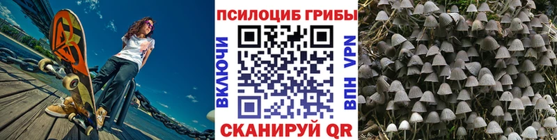 Псилоцибиновые грибы Psilocybine cubensis  OMG маркетплейс  Плавск 